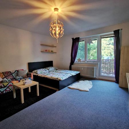 Cely Apartman Podlesi 54M2 S Dvema Balkony A S Novou Manzelskou Posteli, Zatim Neni Na Fotkach Brno Exterior photo