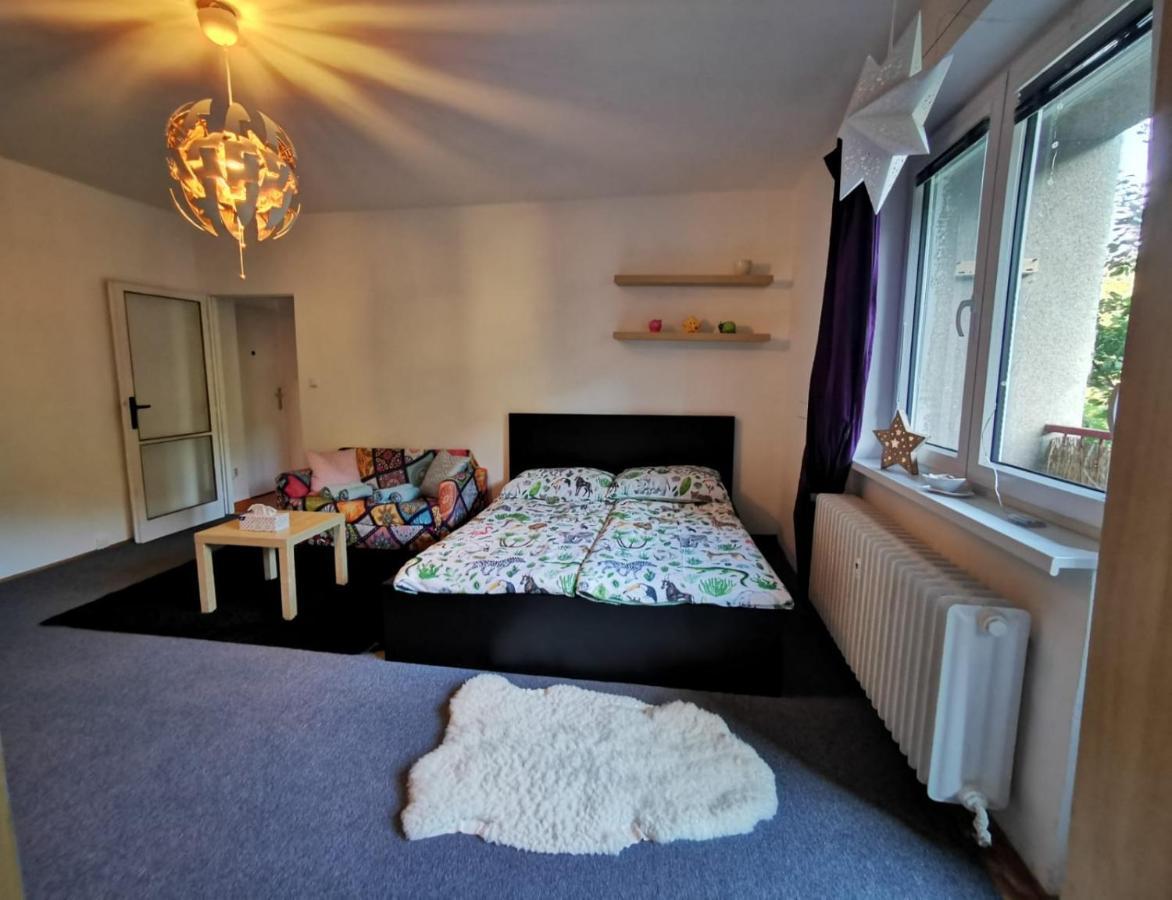 Cely Apartman Podlesi 54M2 S Dvema Balkony A S Novou Manzelskou Posteli, Zatim Neni Na Fotkach Brno Exterior photo
